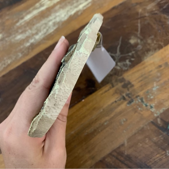 Dinosaur Fossil Plaque - Wall Decor - Picture 3 of 4